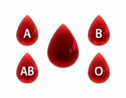 Feline blood groups neonatal isoerythrolysis
